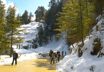 Chandigarh to Shimla Manali