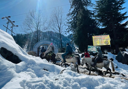 Chandigarh to Shimla Manali